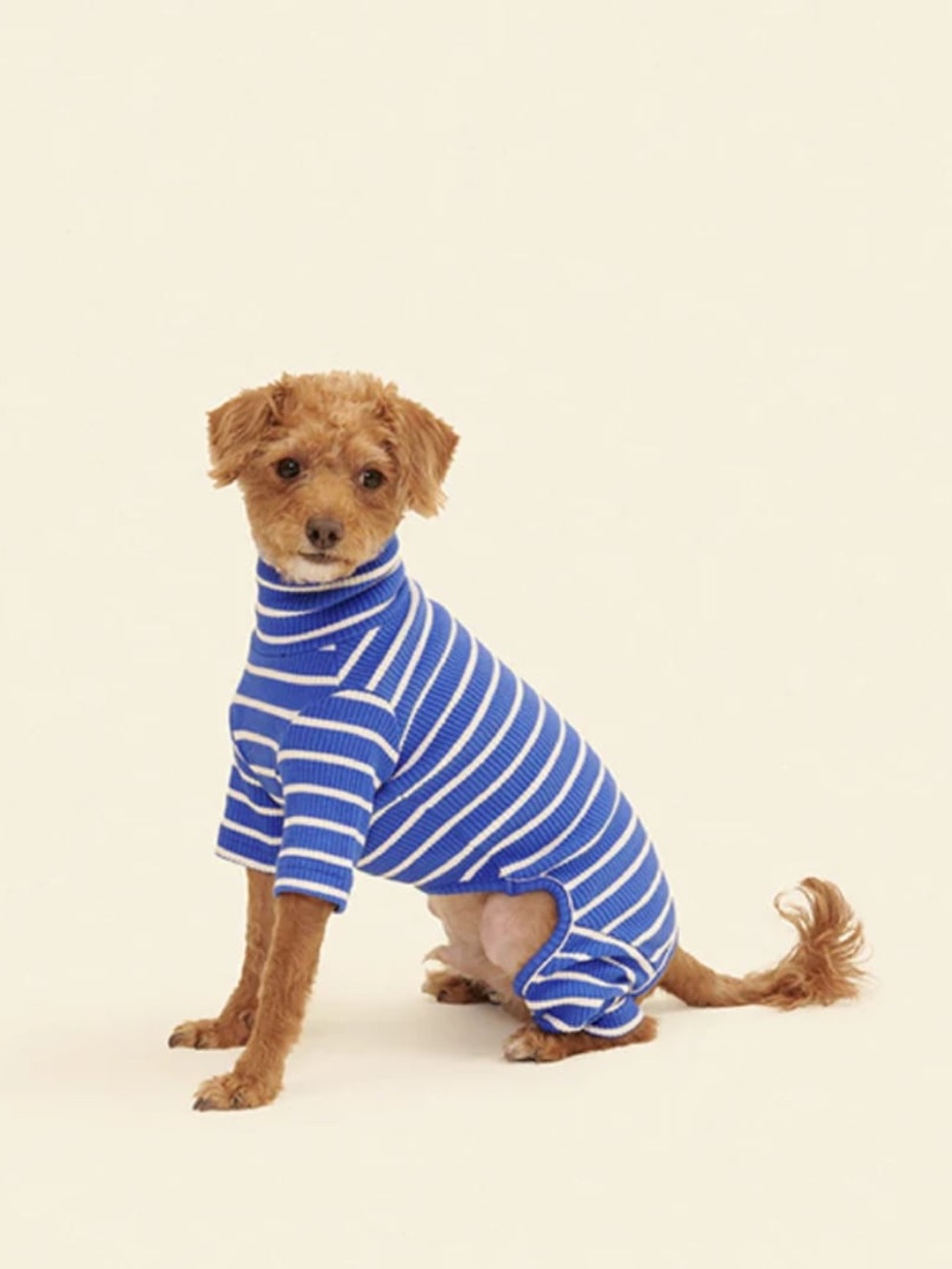 Little Beast ‘Greek To Me’ Blue & White Striped Dog Onesie XXS